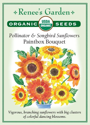 RG Sunflower Pollinator Paintbox 